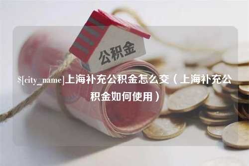 东至上海补充公积金怎么交（上海补充公积金如何使用）